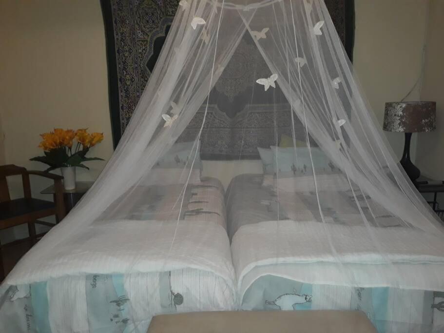 Three Bedrooms In Tranquil Setting In Rondebosch Cape Town